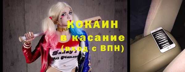 сатива Россошь