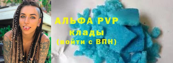 сатива Россошь