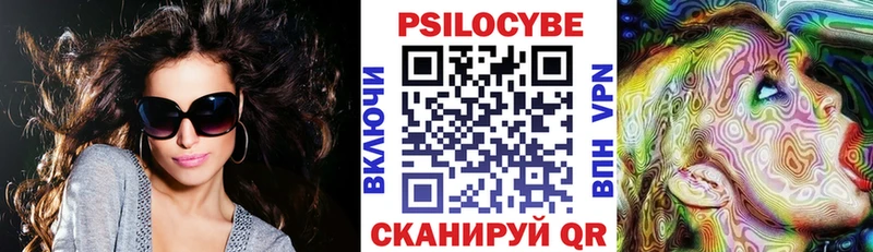 где можно купить наркотик  МЕГА   Псилоцибиновые грибы Magic Shrooms  Кодинск 